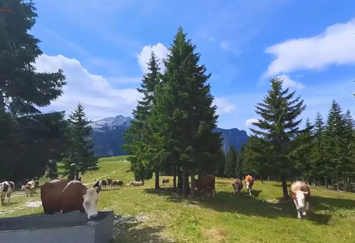 Valorizzare il territorio — Malga del Montasio HDR